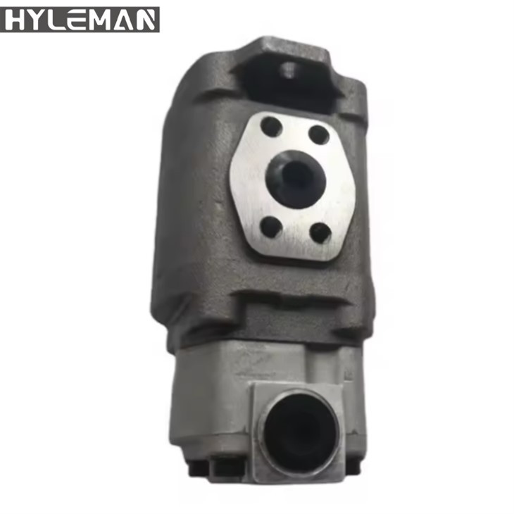 Bomba de engranajes para reparación Catt306D