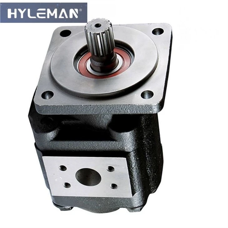 Bomba de engranaje de hierro fundido Parker PermeCo P30/31