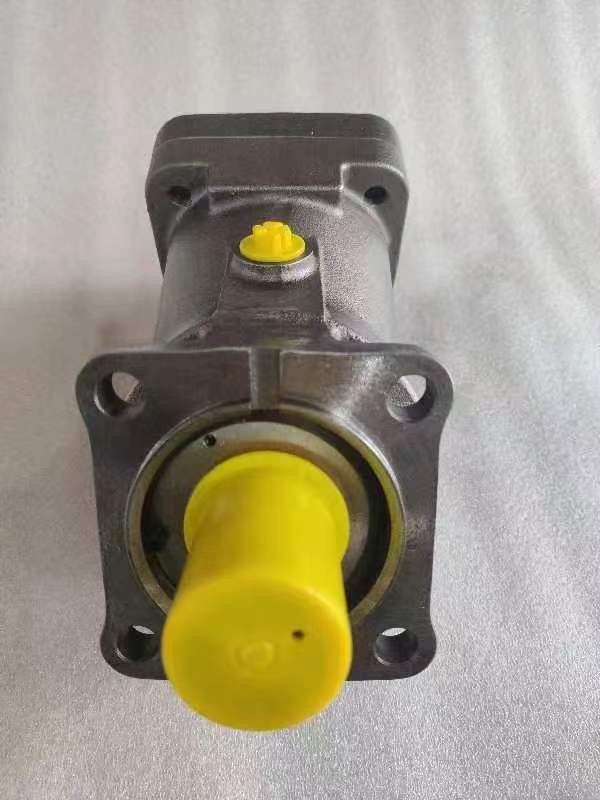 Rexroth A2FM A2FM56 A2FM63 A2FM80 Hydraulic Fixed Plug-in Piston Motor For Excavator