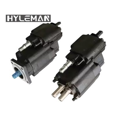 Bomba de engranaje de volcado de montura de Parker G101/G102