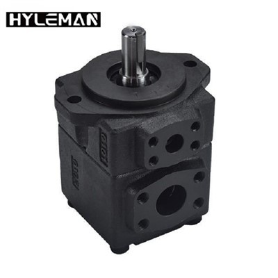 Bomba de paletas Pv2r